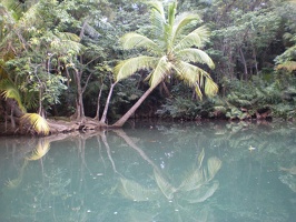 Dominica Indian River5